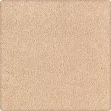 Karastan Kashmere Quiet Sophistication Praline 70906-3724