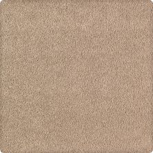 Karastan Kashmere Quiet Sophistication Mica 70906-3827