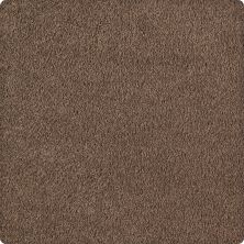 Karastan Kashmere Quiet Sophistication Mocha 70906-3879