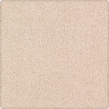 Karastan Smartstrand Silk Lifetime Luxury Contempo 70914-3728