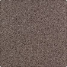 Karastan Smartstrand Silk Lifetime Luxury Chateau 70914-3859