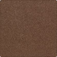 Karastan Smartstrand Silk Lifetime Luxury Sequoia 70914-3861