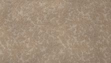 Karastan Smartstrand Silk Elegant Tracery Beach House 70928-3738