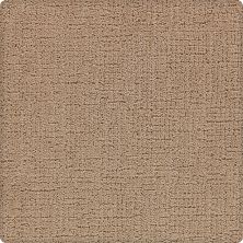 Karastan Smartstrand Silk Naturalistic Appeal Coffeehouse 70929-3862