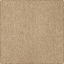 Karastan Smartstrand Silk Soft Finesse Corkwood 70932-3755