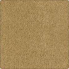 Karastan Smartstrand Silk Soft Finesse Dune 70932-3771