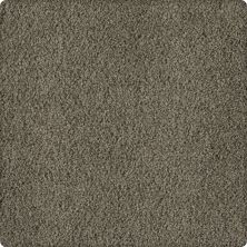 Karastan Smartstrand Silk Soft Finesse River Stone 70932-3967