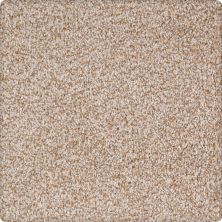 Karastan Kashmere Pleasant Tones Almond 70936-3741