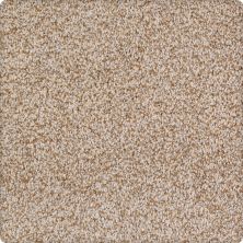 Karastan Kashmere Pleasant Tones Neutral 70936-3757