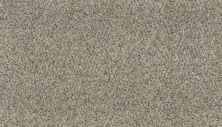 Karastan Smartstrand Rustic Intrigue Toasted Almond 70975-3731