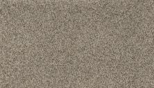 Karastan Smartstrand Rustic Intrigue Morning Mist 70975-3809