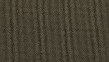 Karastan Smartstrand Cozy Indulgence Deep Sable 70976-3895