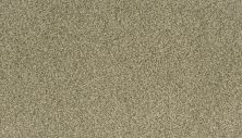 Karastan Kashmere Astonishing Beauty Tranquil Taupe 70982-3942