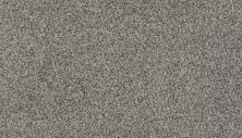 Karastan Smartstrand Intriguing Charm Metallics 70986-3926