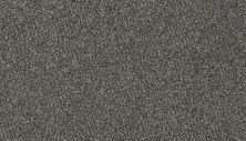 Karastan Smartstrand Intriguing Charm Grey Flannel 70986-3973