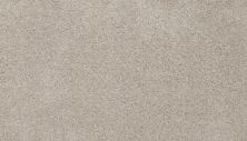 Karastan Smartstrand Splendid Elegance Raw Linen 70989-3746