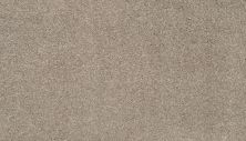 Karastan Smartstrand Splendid Elegance Basketweave 70989-3776