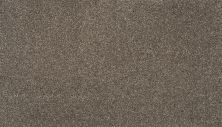 Karastan Smartstrand Splendid Elegance Lite Espresso 70989-3849