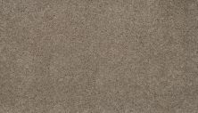 Karastan Smartstrand Outstanding Craft Tradition 70990-3768