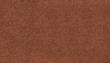 Karastan Smartstrand Fascinating Hues Canyon Coral 70991-3253