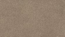 Karastan Smartstrand Fascinating Hues Tradition 70991-3768