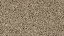 Karastan Smartstrand Native Restoration Drifty Mist 79037-3756