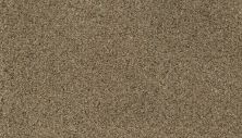 Karastan Smartstrand Native Restoration Steady Brown 79037-3787