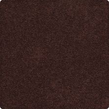 Karastan Smartstrand Traditional Cheer True Copper 79042-3283