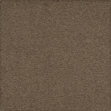 Karastan Smartstrand Traditional Cheer Malted 79042-3840