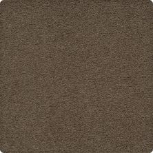 Karastan Smartstrand Traditional Cheer Manhattan 79042-3850