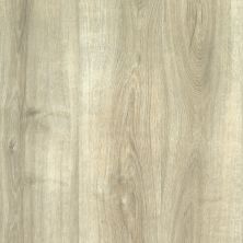 Aladdin Commercial Grass Valley 20 Natural Oak AH016-32232