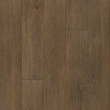 Aladdin Commercial Ultimate Flex LVT Parish Chateau AH034-846