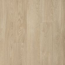 Aladdin Commercial Footpath 20 Db Biloba Wood AH037-220