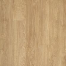 Aladdin Commercial Footpath 20 Db Amtico Wood AH037-450