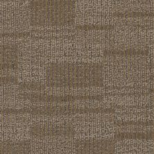 Aladdin Commercial Distinctive Appea-qs Enticing Texture AQ76-858