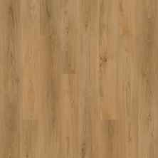 Mohawk Solidtech Plus Barker Cove Rowan AST10-208
