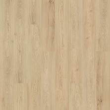 Mohawk Solidtech Plus Barker Cove Hazel AST10-237