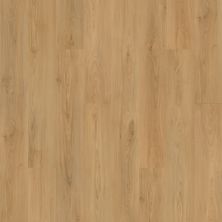 Mohawk Solidtech Plus Barker Cove Daisy AST10-241