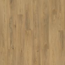 Mohawk Solidtech Plus Barker Cove Chance AST10-842