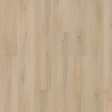 Mohawk Solidtech Plus Eastbrook Bay Constance AST11-218