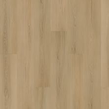 Mohawk Solidtech Plus Eastbrook Bay Hampton AST11-427