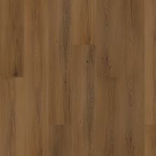 Mohawk Solidtech Plus Eastbrook Bay Hartley AST11-843