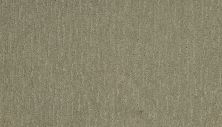 Portico Smartstrand Absolute Fame Tradition BP12B-511