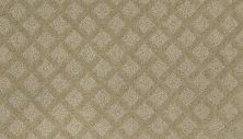 Portico Smartstrand Eternal Quality Crumb Cookie BP13B-518