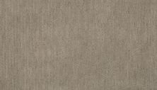 Portico Everstrand Tonal Trend Whirlwind BP18C-714