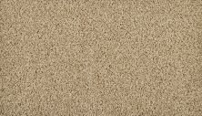 Portico Everstrand Lustrous Tones New Wheat BP21D-723