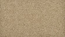 Portico Everstrand Lustrous Tones Warm Almond BP21D-725