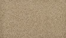 Portico Everstrand Lustrous Tones Safari Tan BP21D-864