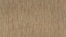 Portico Smartstrand Silk Nature’s Delight Maple Tint BP30B-503