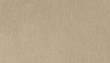 Portico Smartstrand Silk Nature’s Delight Soft Linen BP30B-505